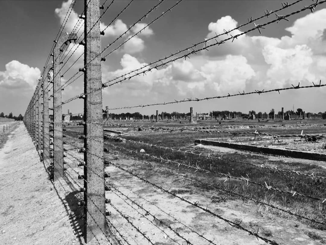 auschwitz